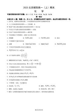 2023北京朝阳高一（上）期末化学（教师版）-答案
