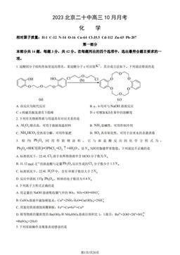 2023北京二十中高三10月月考化学（教师版）-答案