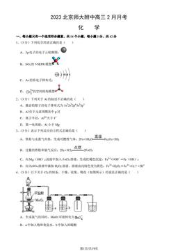 2023北京师大附中高三2月月考化学（教师版）-答案