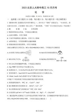 2023北京人大附中高三10月月考化学（教师版）-答案