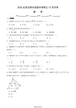 2025北京北师大实验中学高三12月月考数学（教师版）-答案