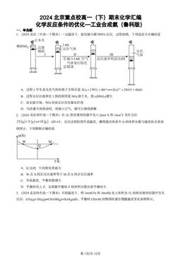 2024北京重点校高一（下）期末化学汇编：化学反应条件的优化—工业合成氨（鲁科版）-答案