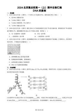 2024北京重点校高一（上）期中生物汇编：DNA的复制-答案