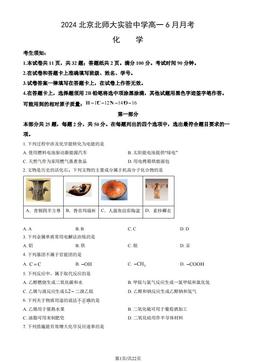 2024北京北师大实验中学高一6月月考化学（教师版）-答案