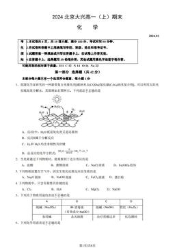 2024北京大兴高一（上）期末化学（教师版）-答案