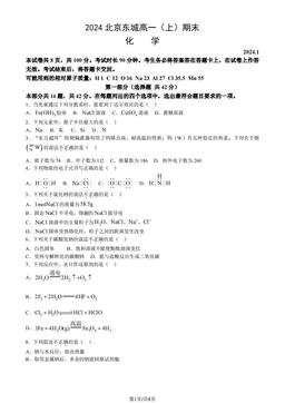 2024北京东城高一（上）期末化学（教师版）-答案