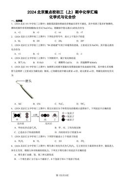 2024北京重点校初三（上）期中化学汇编：化学式与化合价-答案