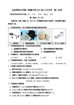 2024北京北师大二附中高一12月月考化学（教师版）-答案