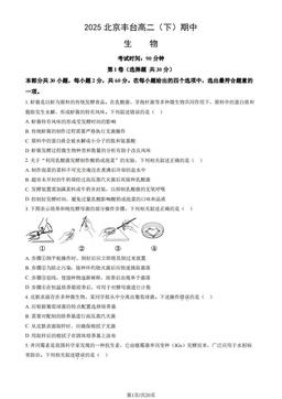 2025北京丰台高二（下）期中生物（教师版）-答案