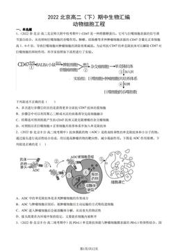 2022北京高二（下）期中生物汇编：动物细胞工程-答案
