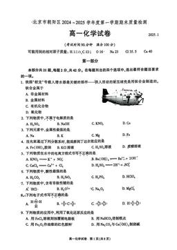 2025北京朝阳高一（上）期末化学-答案
