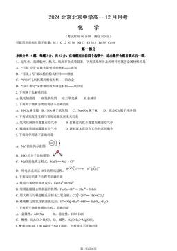 2024北京北京中学高一12月月考化学-试题