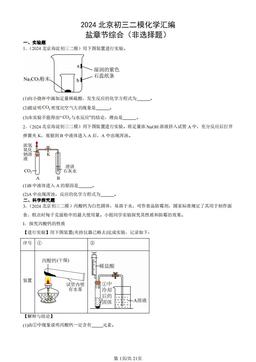 2024北京初三二模化学汇编：盐章节综合（非选择题）-答案