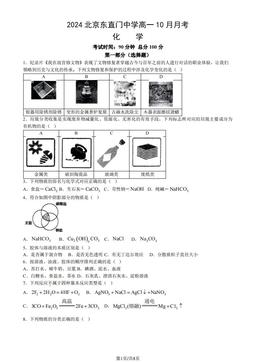 2024北京东直门中学高一10月月考化学（教师版）-答案