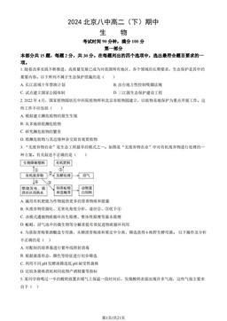 2024北京八中高二（下）期中生物（教师版）-答案