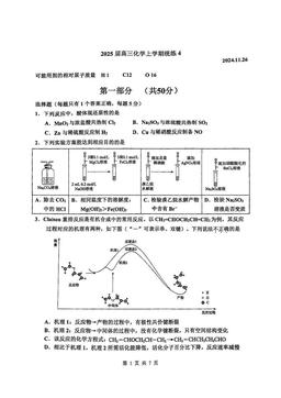 2024北京北师大二附中高三（上）统练四化学-答案