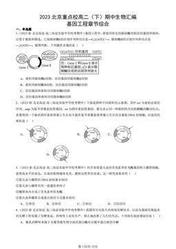 2023北京重点校高二（下）期中生物汇编：基因工程章节综合-答案