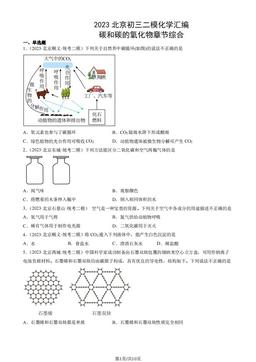 2023北京初三二模化学汇编：碳和碳的氧化物章节综合-答案