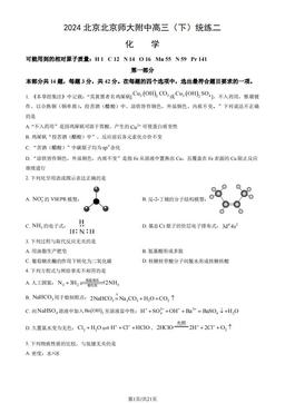 2024北京北京师大附中高三（下）统练二化学（教师版）-答案