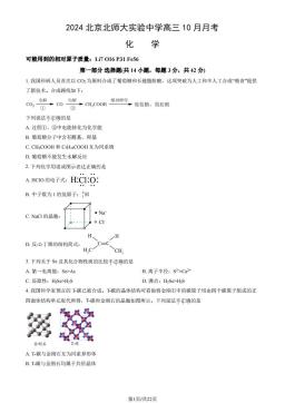 2024北京北师大实验中学高三10月月考化学（教师版）-答案
