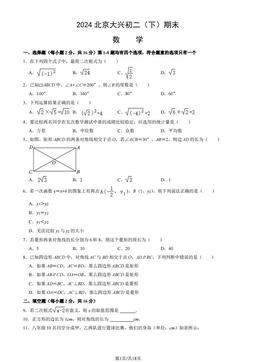 2024北京大兴初二（下）期末数学（教师版）-答案