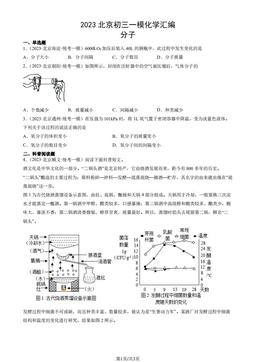 2023北京初三一模化学汇编：分子-答案