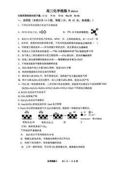 2024北京清华附中高三（上）化学统练五化学-答案