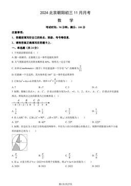 2024北京朝阳初三11月月考数学（教师版）-答案