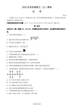 2024北京东城高三（上）期末化学（教师版）-答案