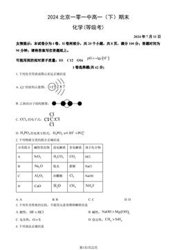 2024北京一零一中高一（下）期末化学（等级考）（教师版）-答案