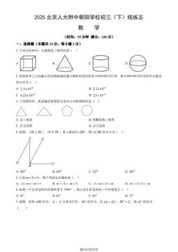 2025北京人大附中朝阳学校初三（下）统练五数学（教师版）-答案