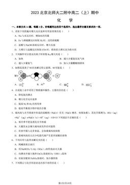 2023北京北师大二附中高二（上）期中化学（教师版）-答案