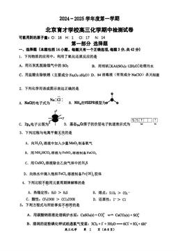 2024北京育才学校高三（上）期中化学-试题