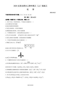2024北京北师大二附中高三（上）统练三化学（教师版）-答案