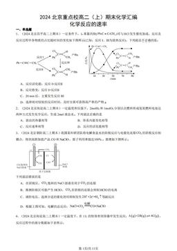 2024北京重点校高二（上）期末化学汇编：化学反应的速率-答案