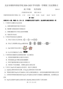 2024北京朝阳外国语学校高三12月月考化学-答案