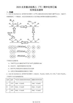 2023北京重点校高二（下）期中化学汇编：化学反应速率-答案