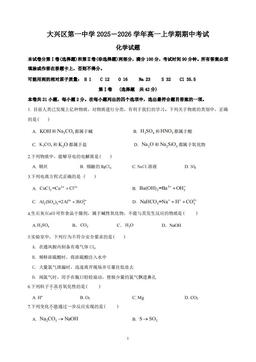 2025北京大兴一中高一（上）期中化学-答案