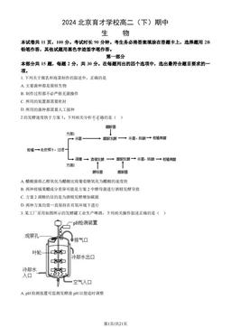 2024北京育才学校高二（下）期中生物（教师版）-答案