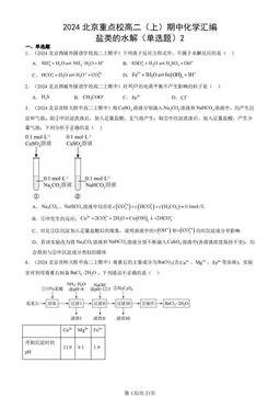 2024北京重点校高二（上）期中化学汇编：盐类的水解（单选题）2-答案