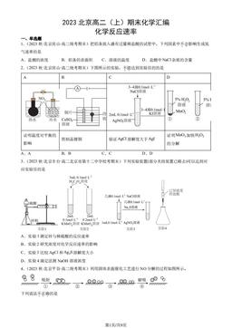 2023北京高二（上）期末化学汇编：化学反应速率-答案