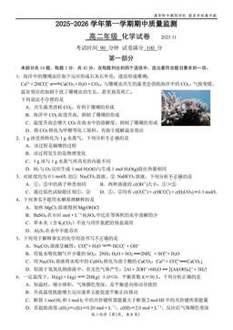 2025北京清华附中朝阳学校高二（上）期中化学-答案