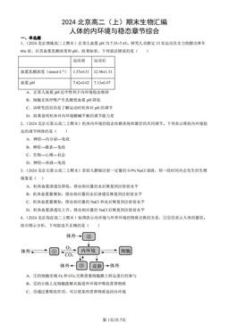 2024北京高二（上）期末生物汇编：人体的内环境与稳态章节综合-答案