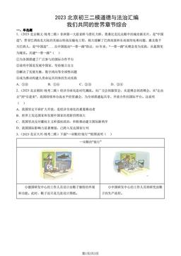 2023北京初三二模道德与法治汇编：我们共同的世界章节综合-答案