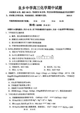 2025北京良乡中学高三（上）期中化学-试题