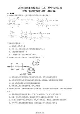 2024北京重点校高三（上）期中化学汇编：羧酸 氨基酸和蛋白质（鲁科版）-答案