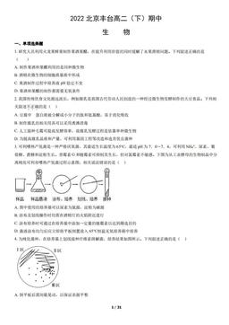 2022北京丰台高二（下）期中生物（教师版）-答案