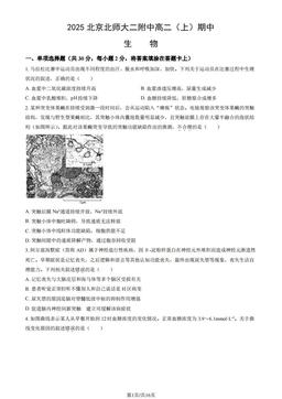 2025北京北师大二附中高二（上）期中生物（教师版）-答案