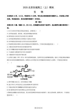2025北京东城高二（上）期末生物（教师版）-答案