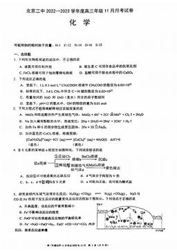 2022北京二中高三11月月考化学-试题